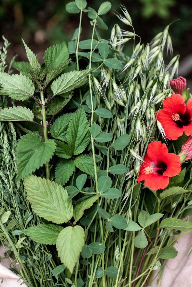 Nourishing Blend Tea